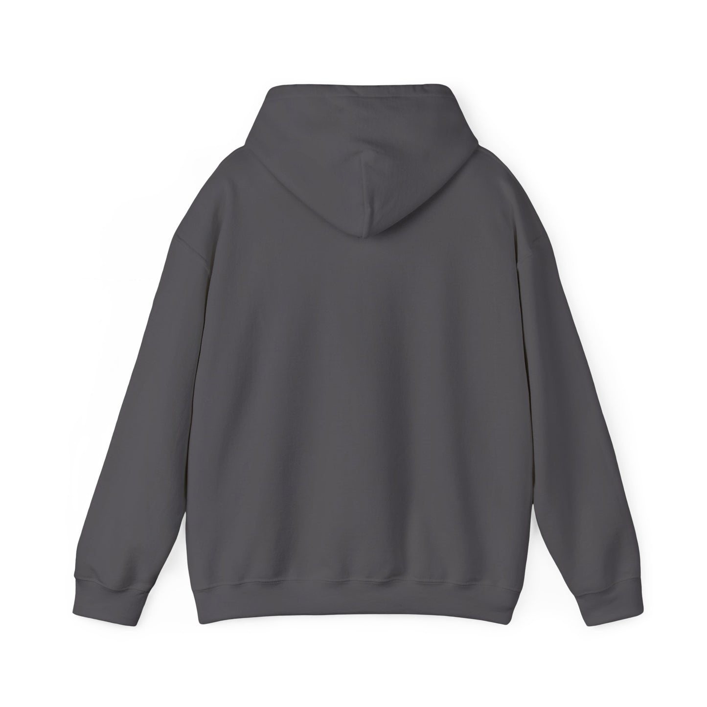 Unisex adult hoodie - I have a disability - front design