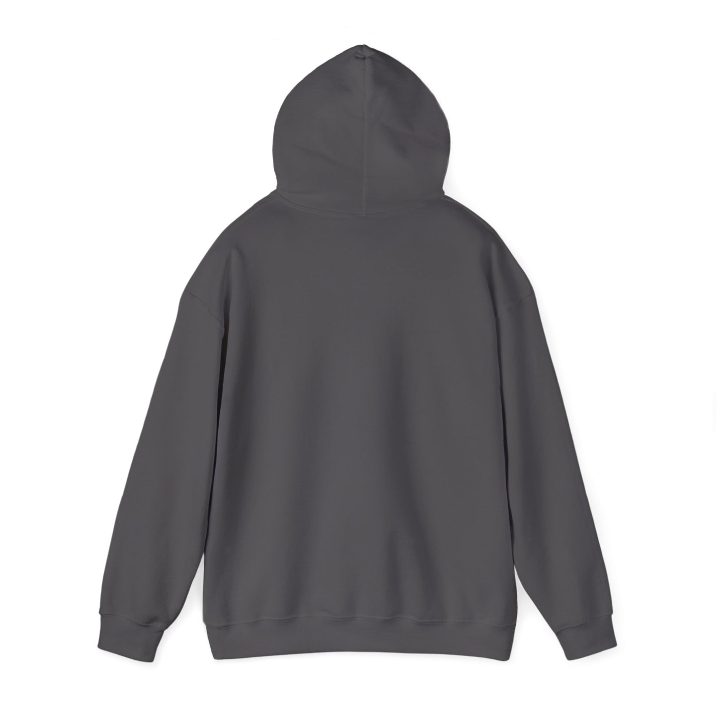 Unisex adult hoodie - I have a disability - front design