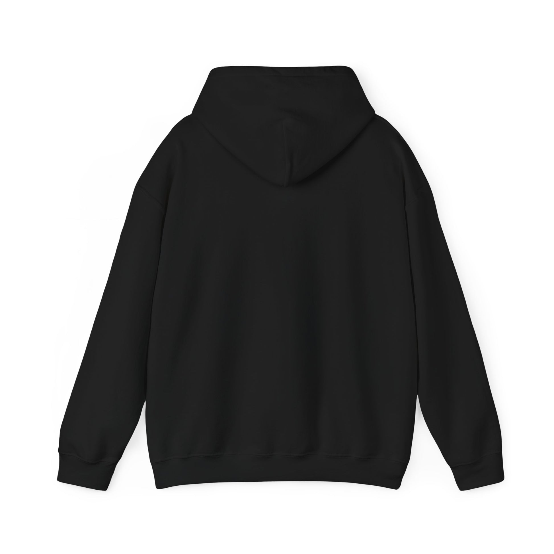 Unisex adult hoodie - I have a disability - front design image 25