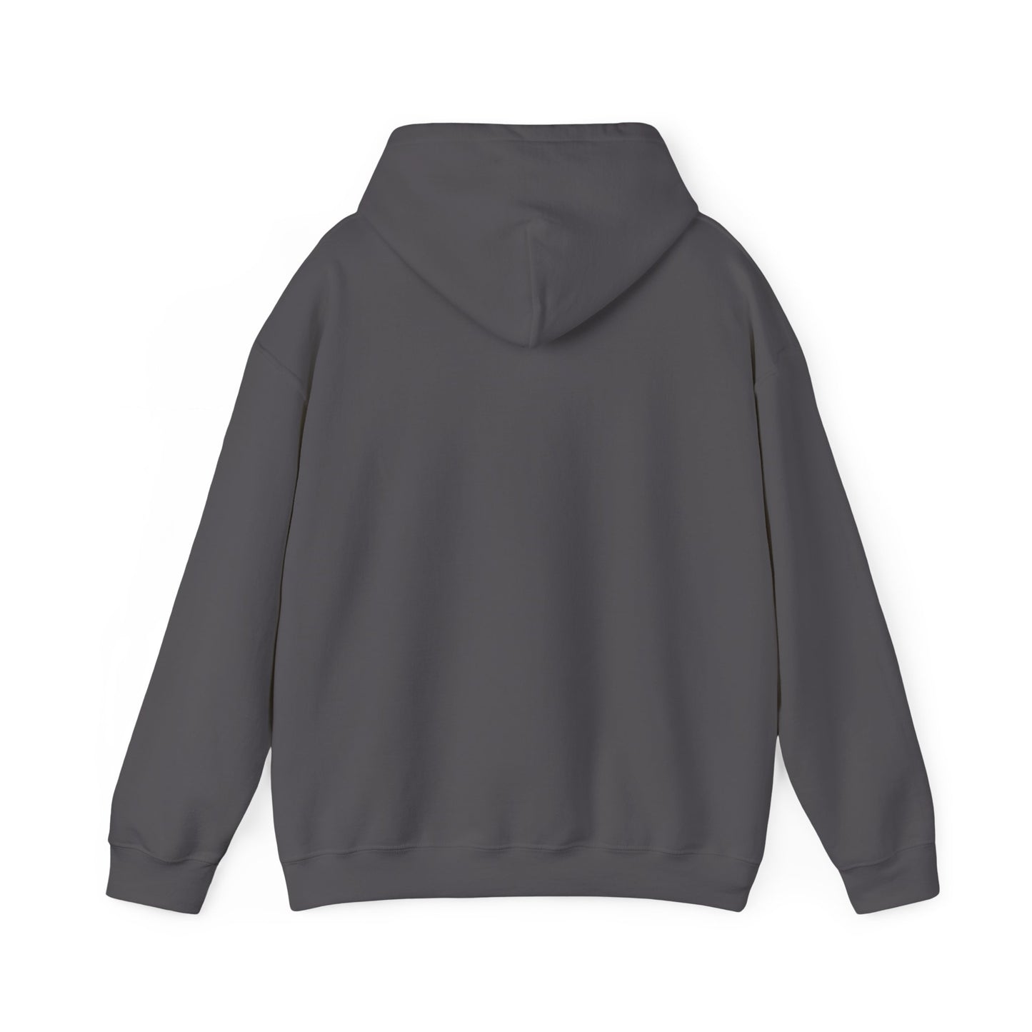 Unisex adult hoodie - I have a disability - front design image 1