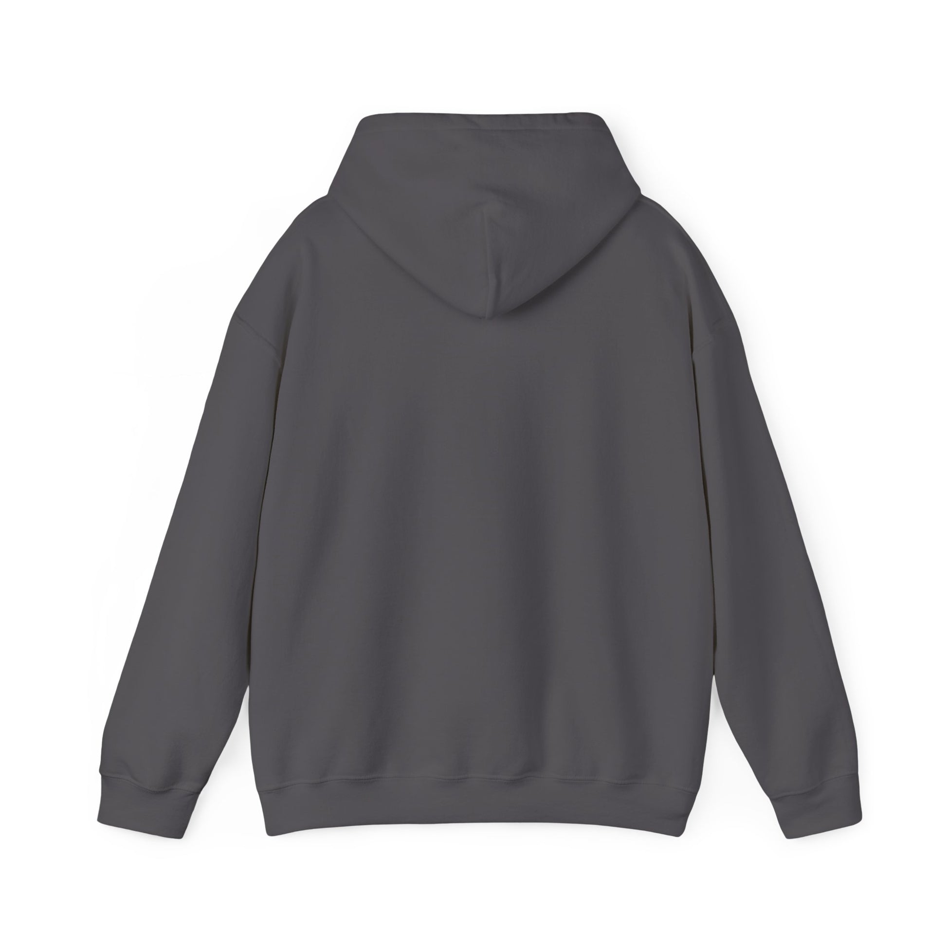 Unisex adult hoodie - I have a disability - front design image 1