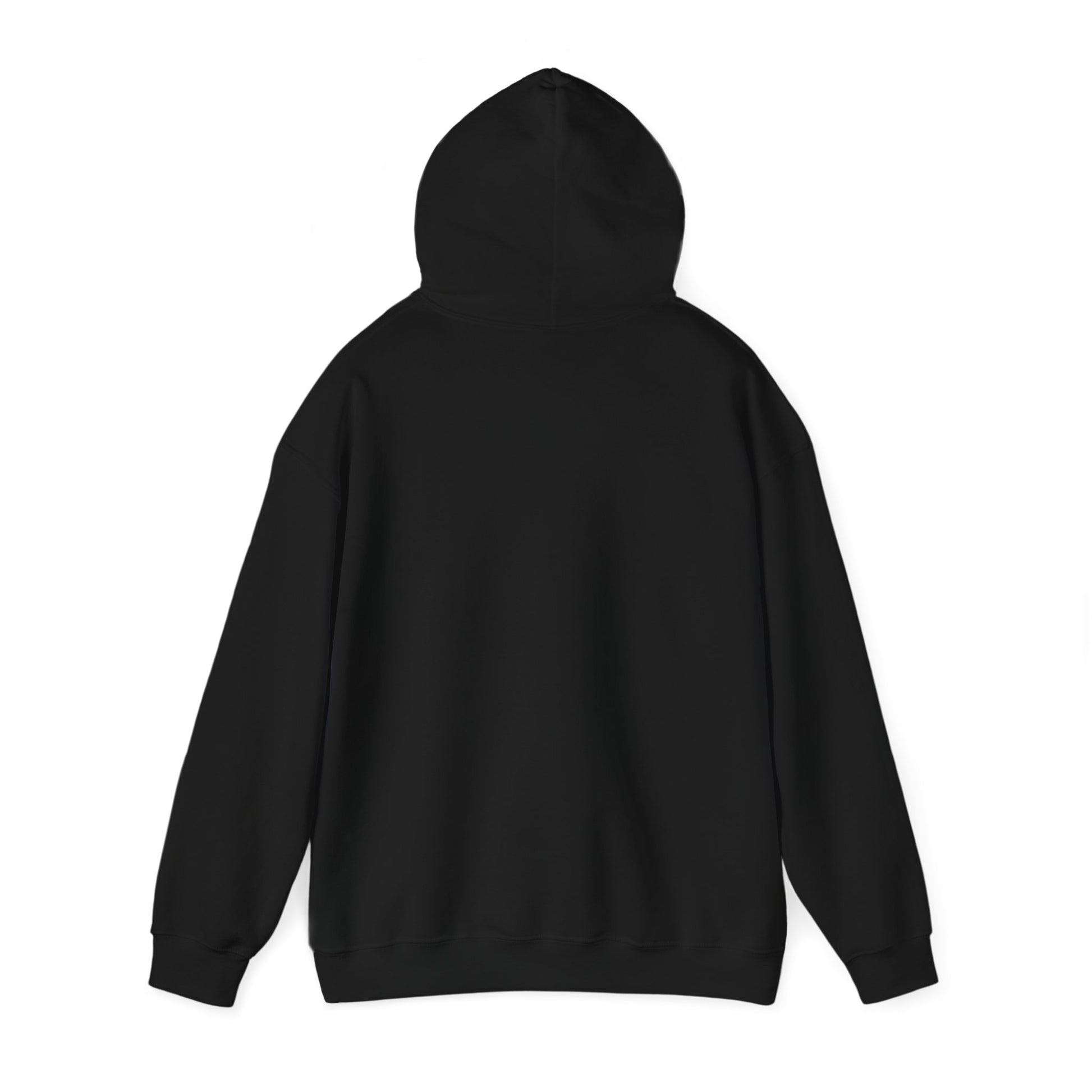 Unisex adult hoodie - I have a disability - front design - Black, 2XL image